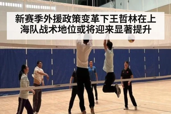 新赛季外援政策变革下王哲林在上海队战术地位或将迎来显著提升