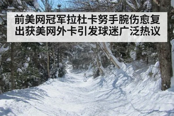 前美网冠军拉杜卡努手腕伤愈复出获美网外卡引发球迷广泛热议